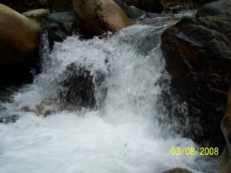 Rizedeyiz Köfte Partisinde